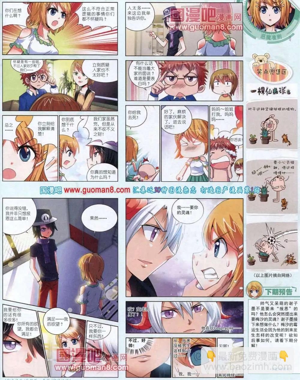 11月中期