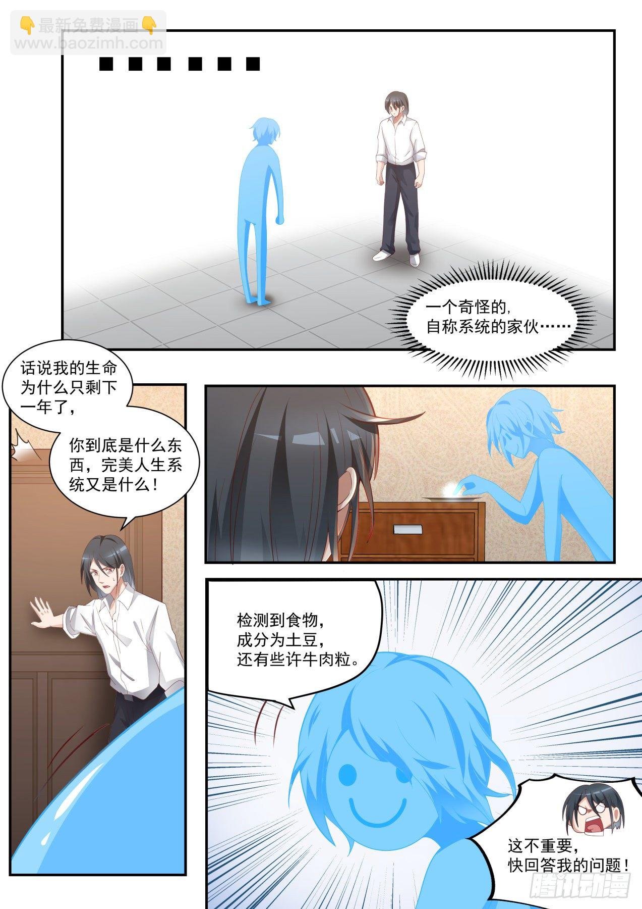 完美赢家