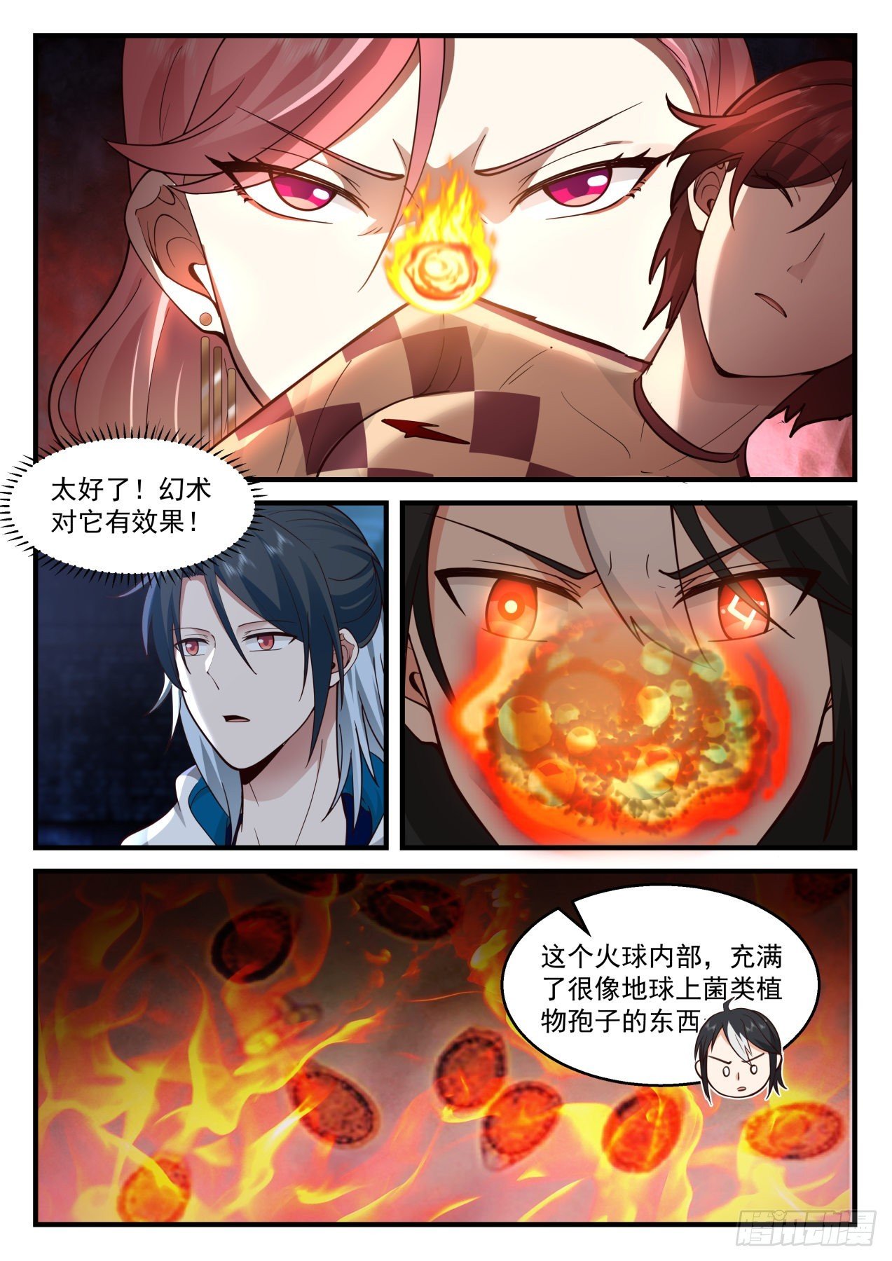 孢子