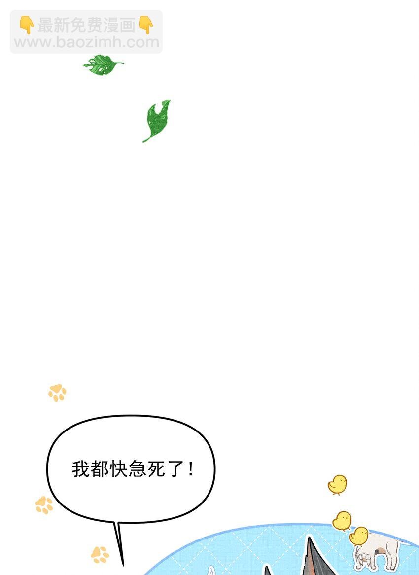 047 椒美人，保密，保密！