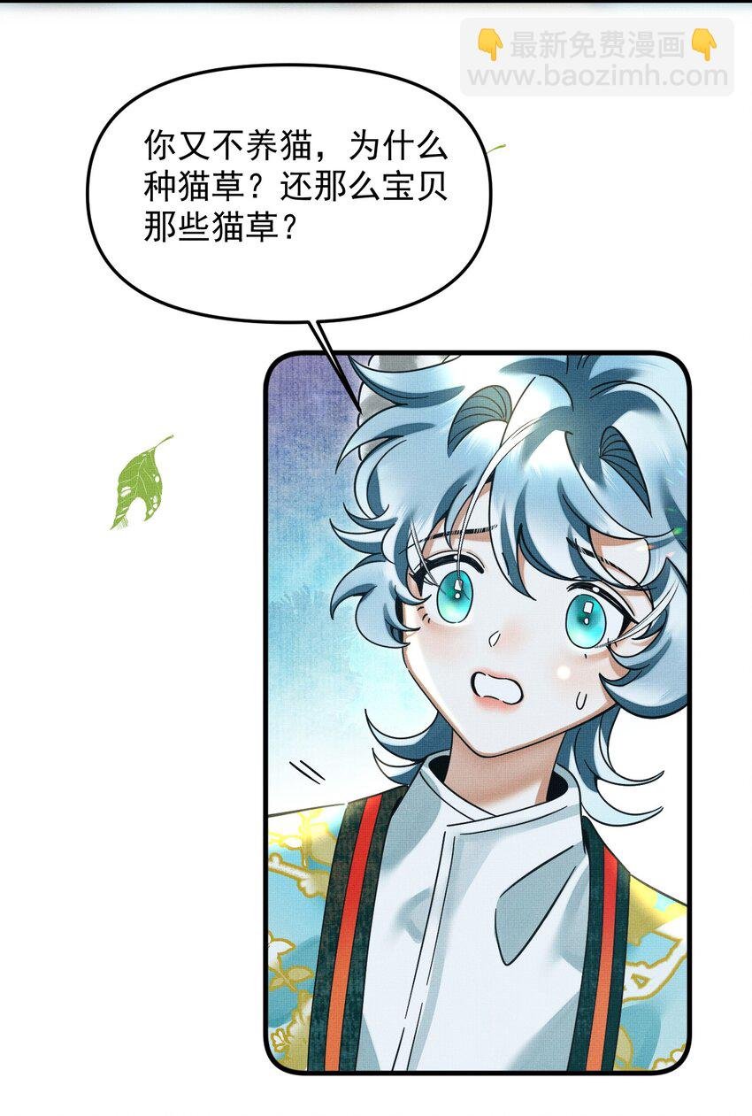 049 他种了好多猫草诶～？