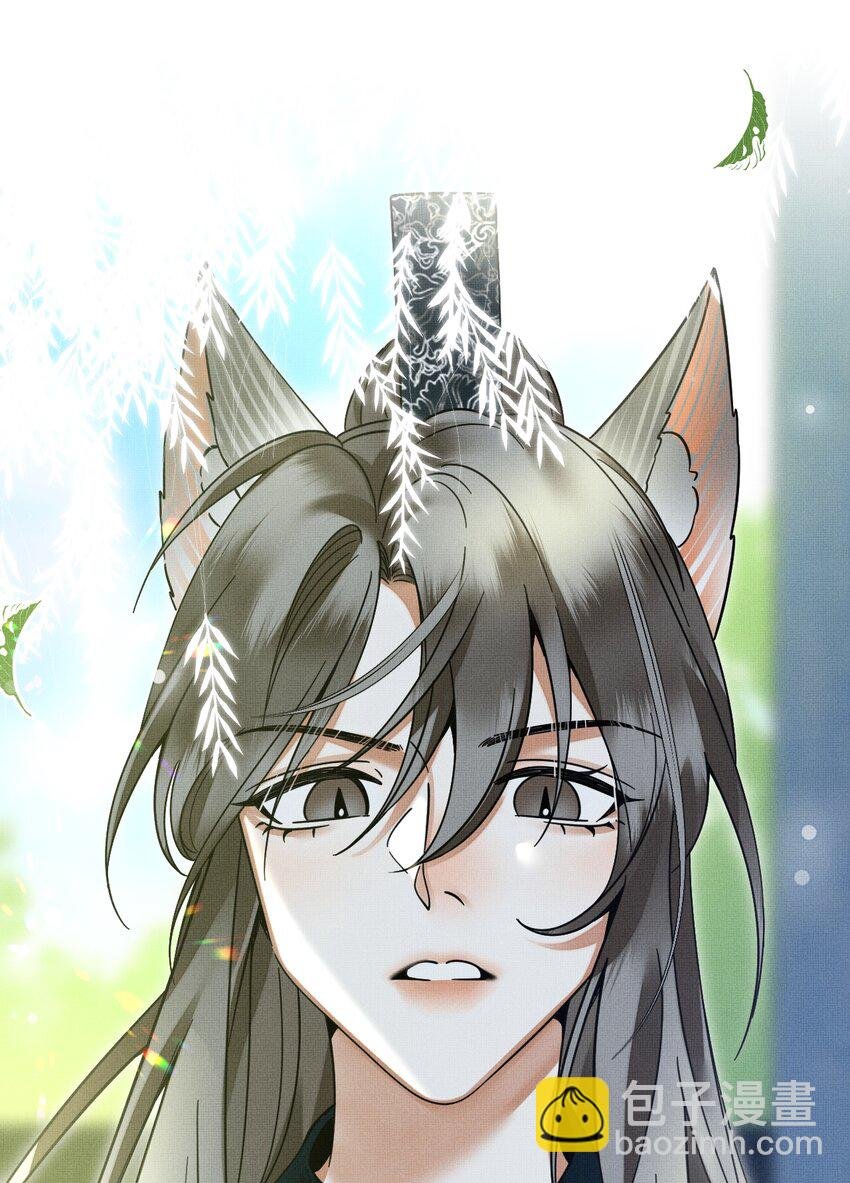 050 禁止投喂我的猫！