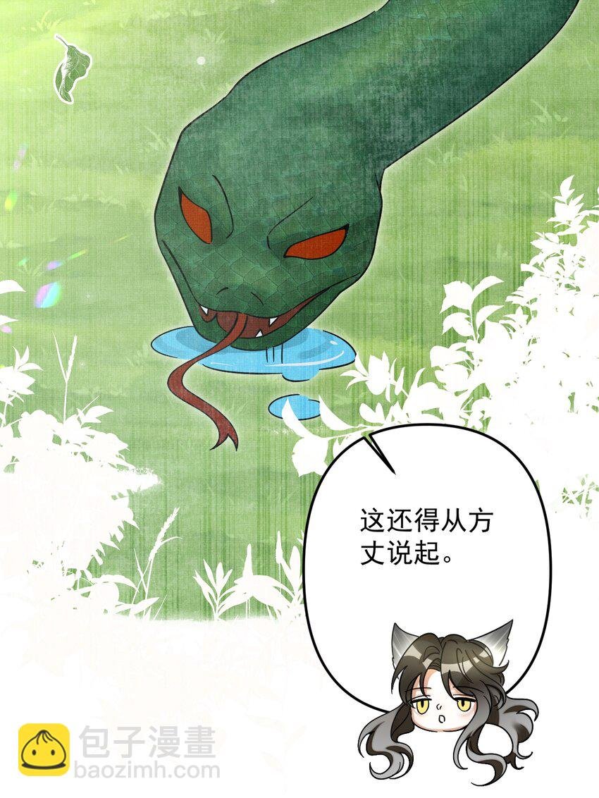 050 禁止投喂我的猫！