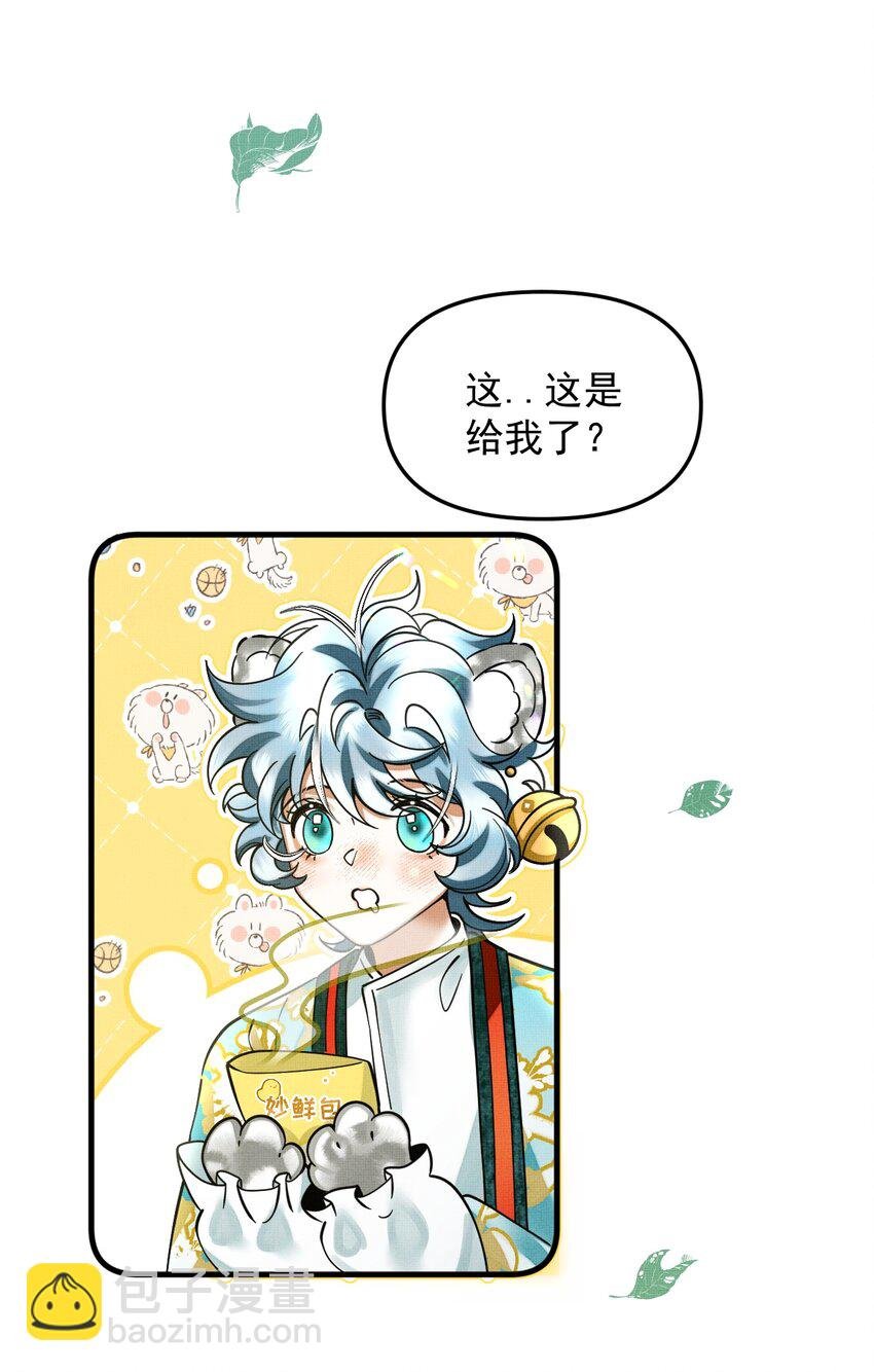 050 禁止投喂我的猫！