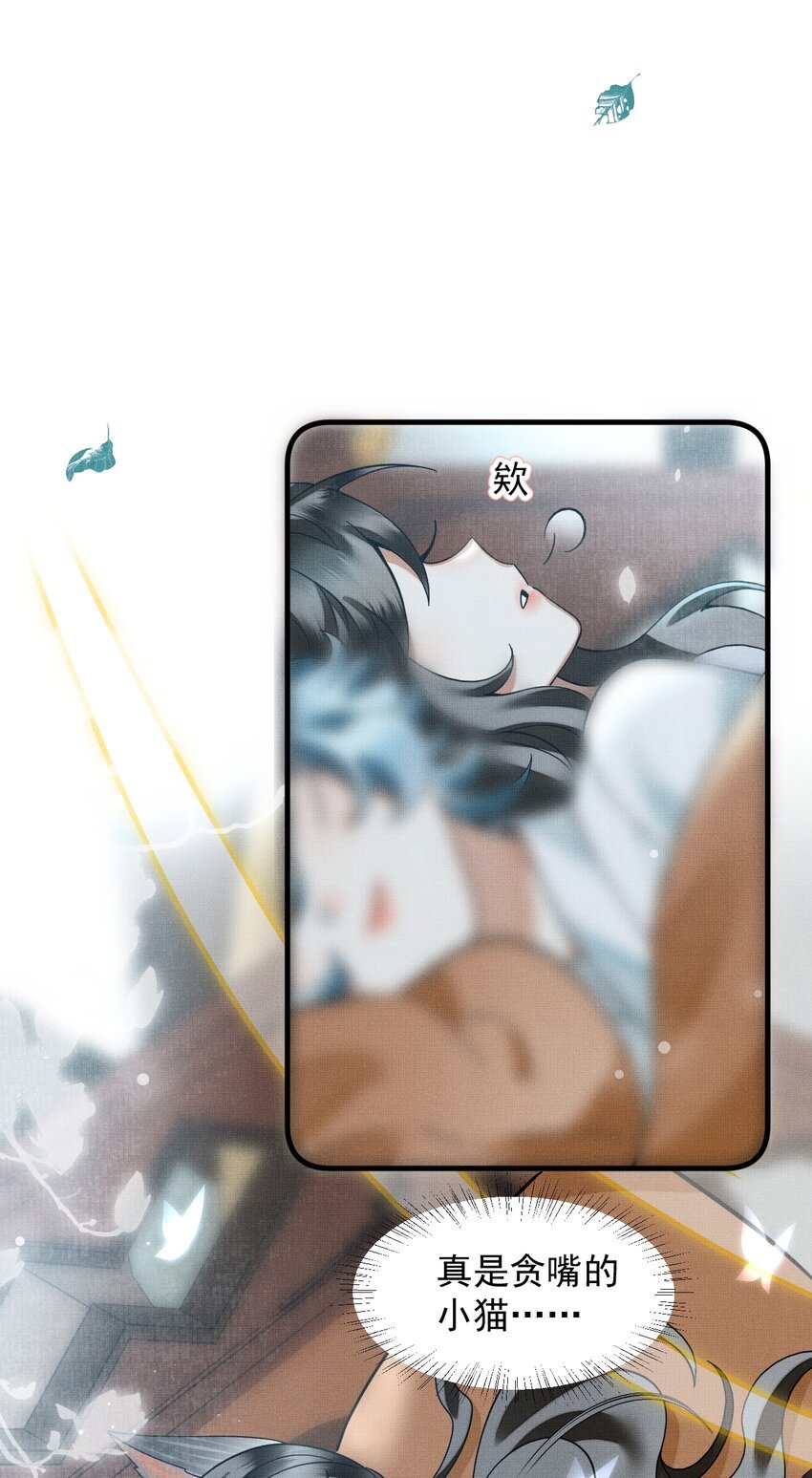 050 禁止投喂我的猫！