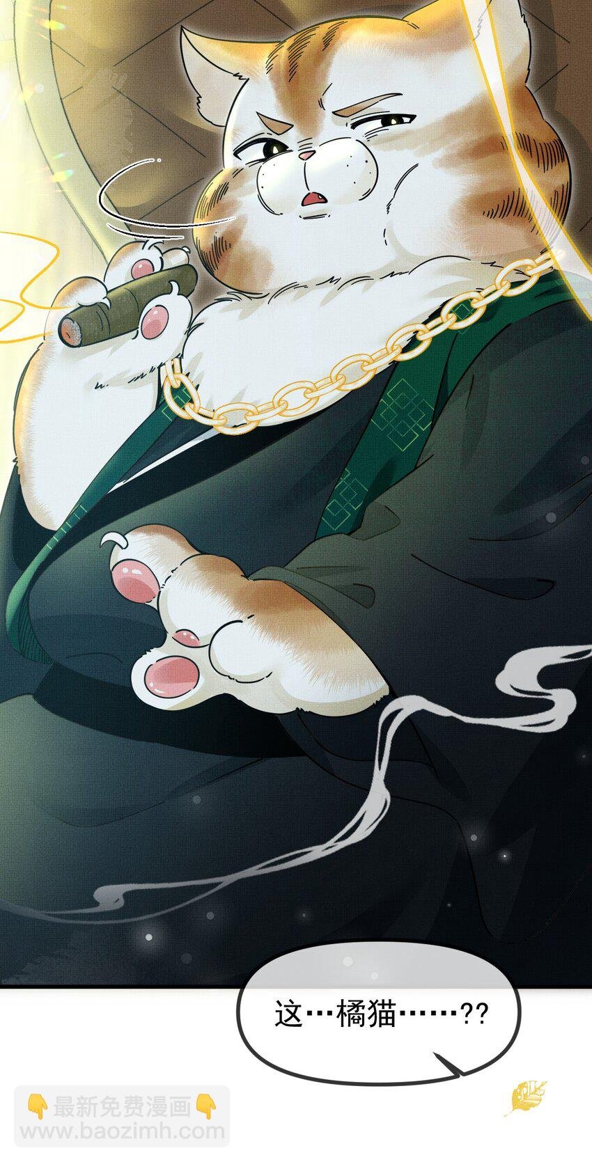 055 听说你很能打？