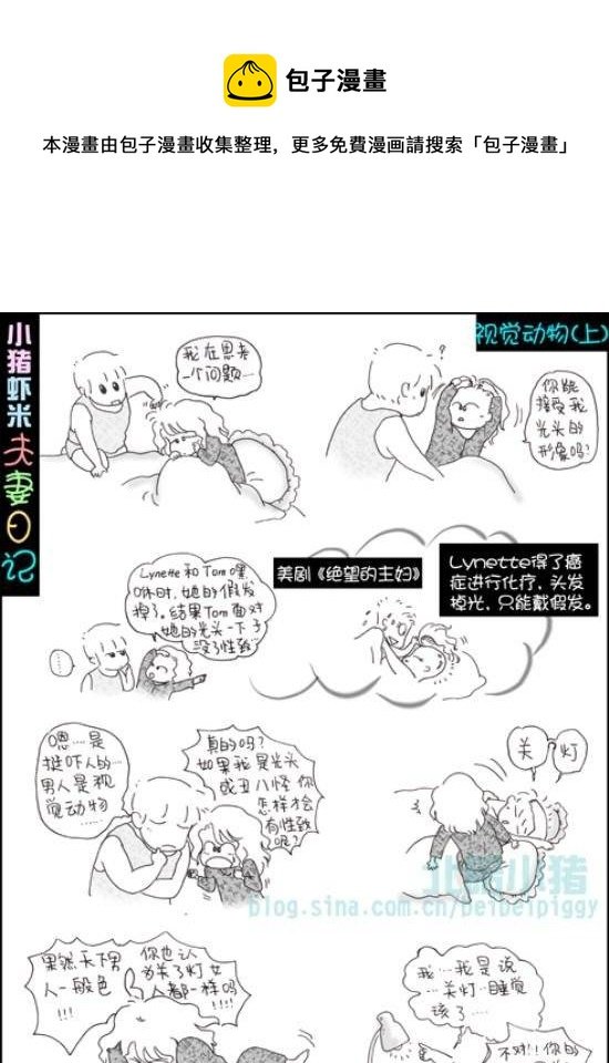 第65话 视觉动物（上）