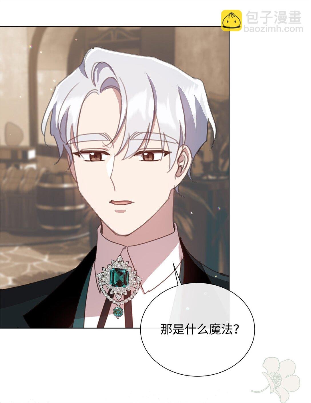 41 魔法戒指