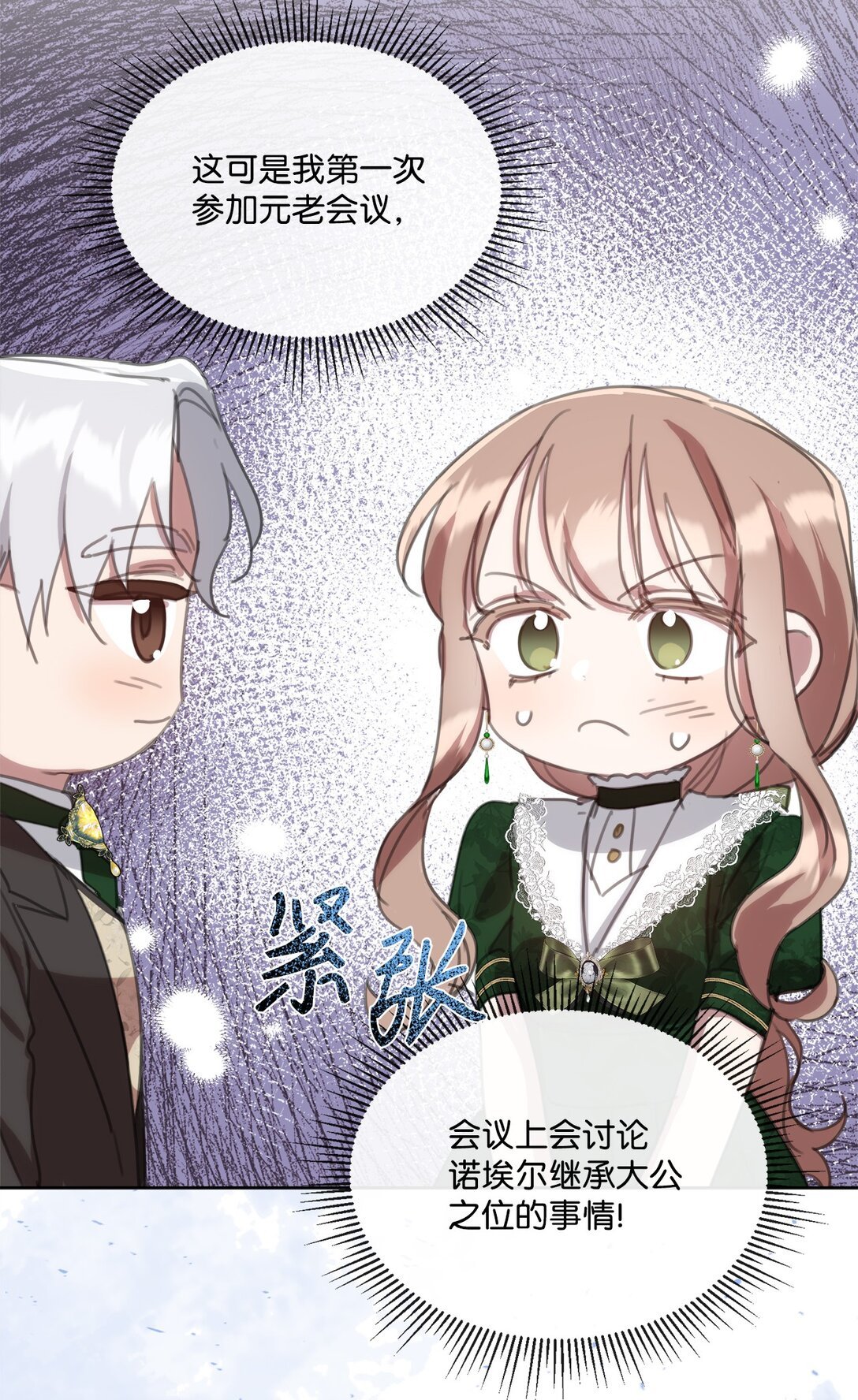 46 元老会议