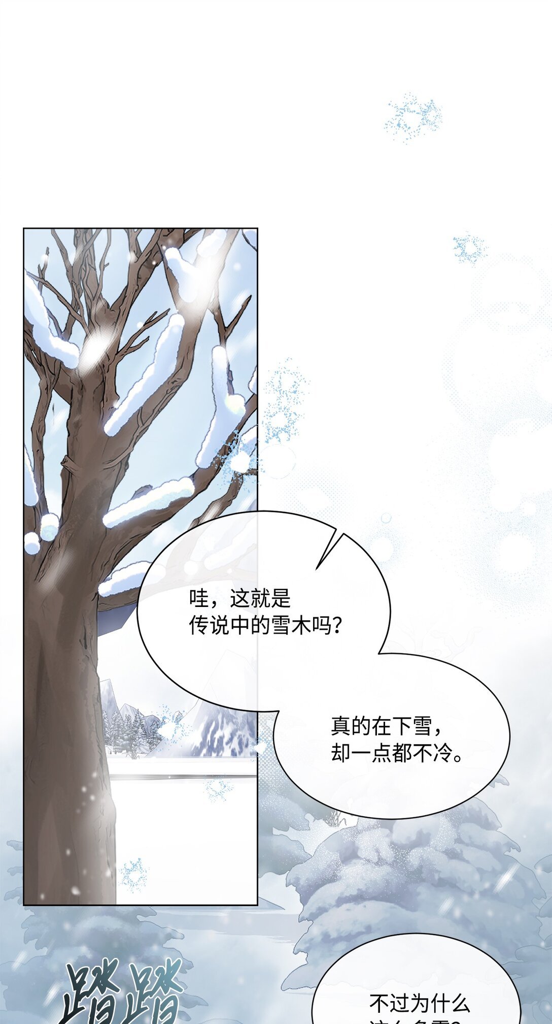 55 雪木的领域
