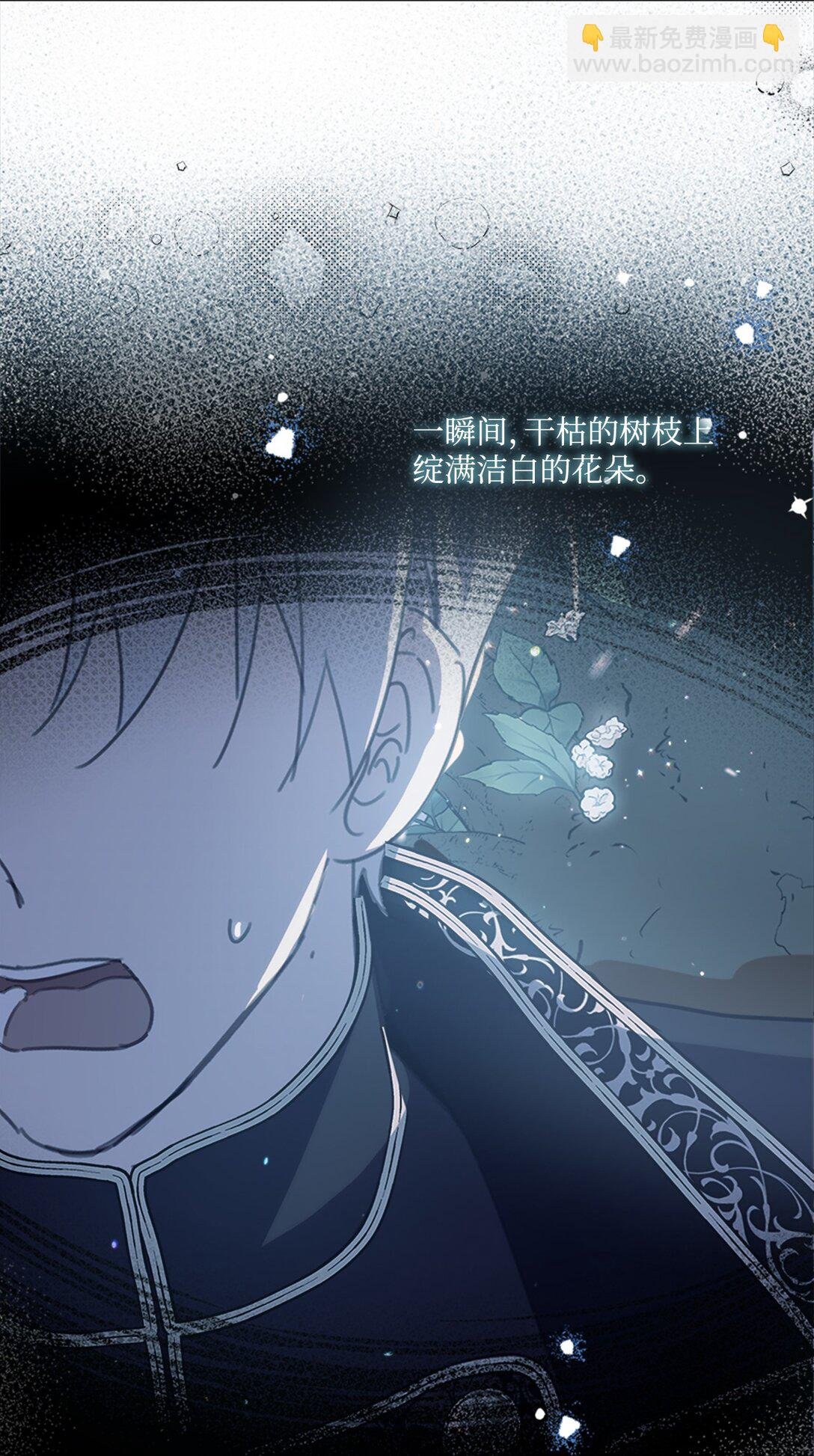 59 读取雪木的记忆