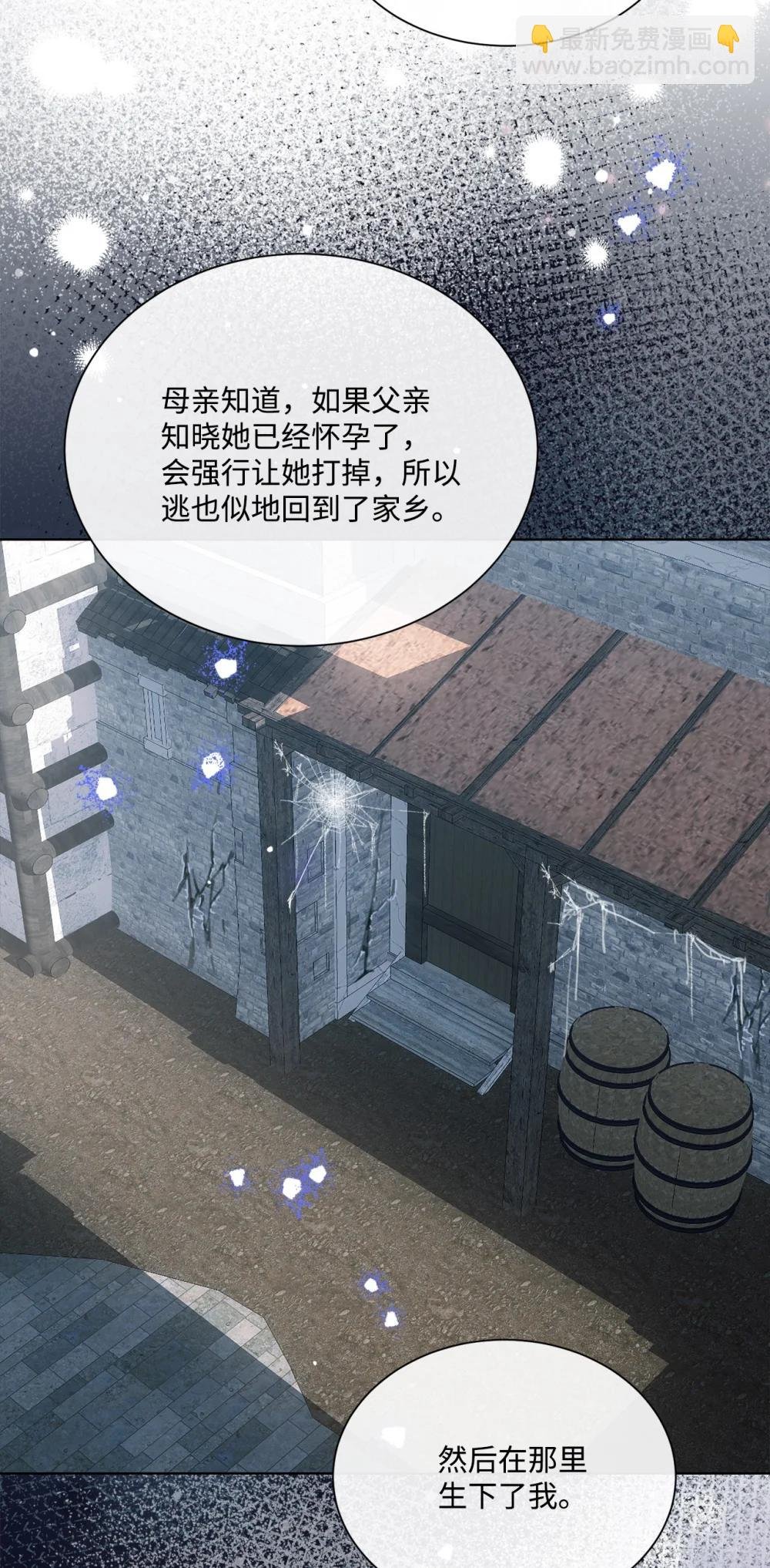 72 佣兵团的过往