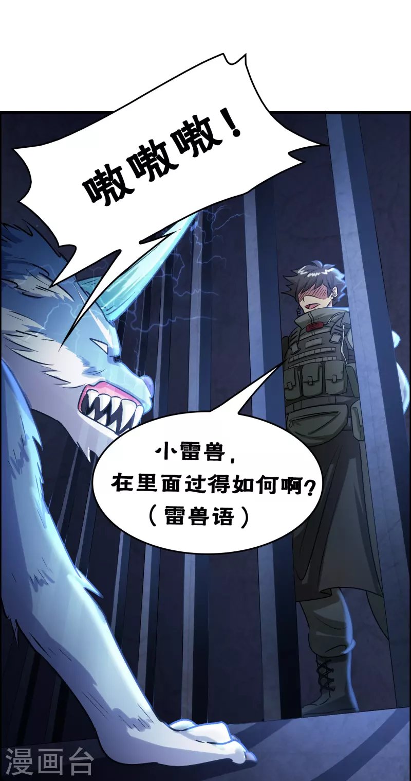 第26话 无敌猫薄荷