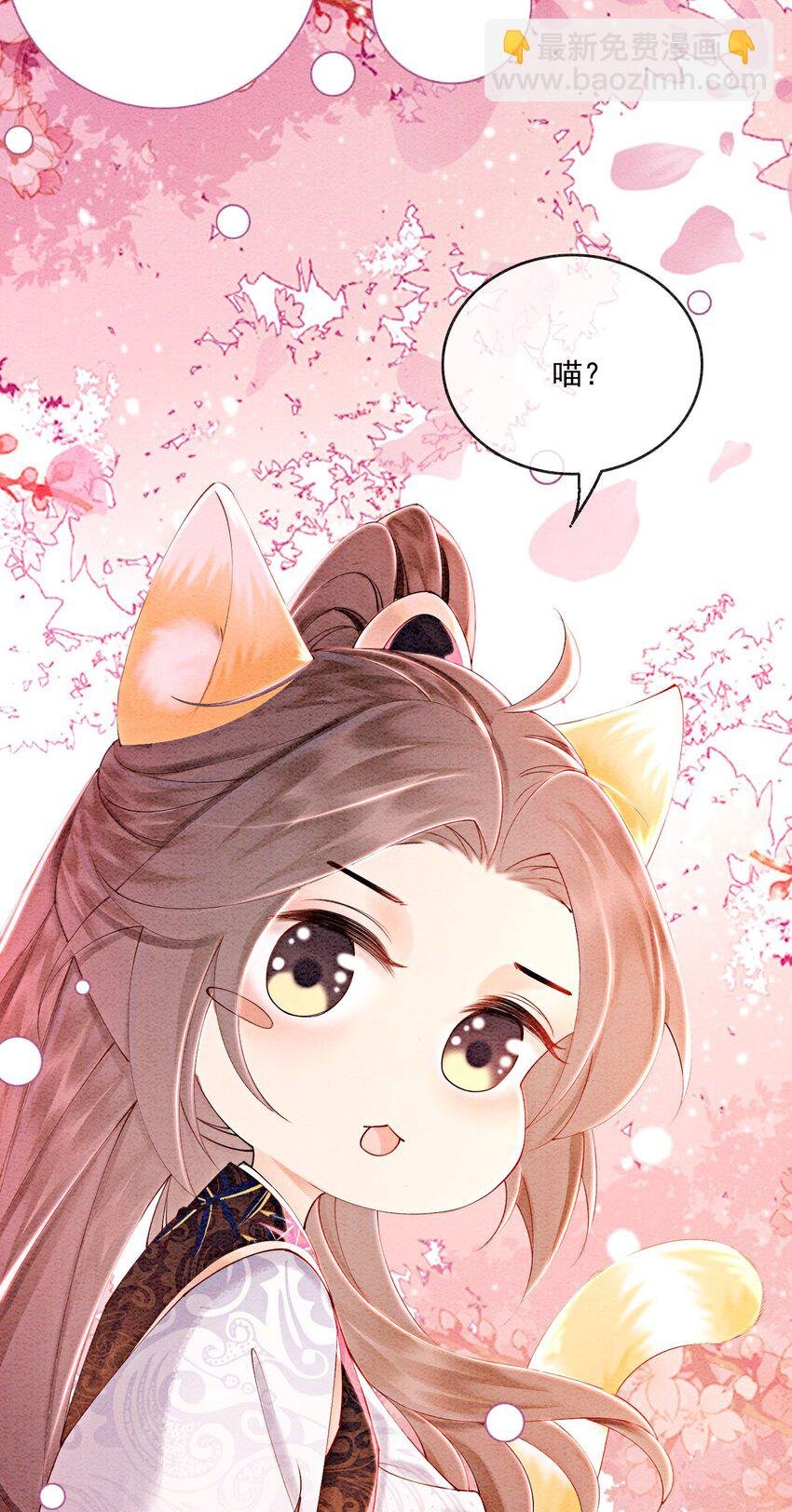番外 如果胥淮北变成了猫猫