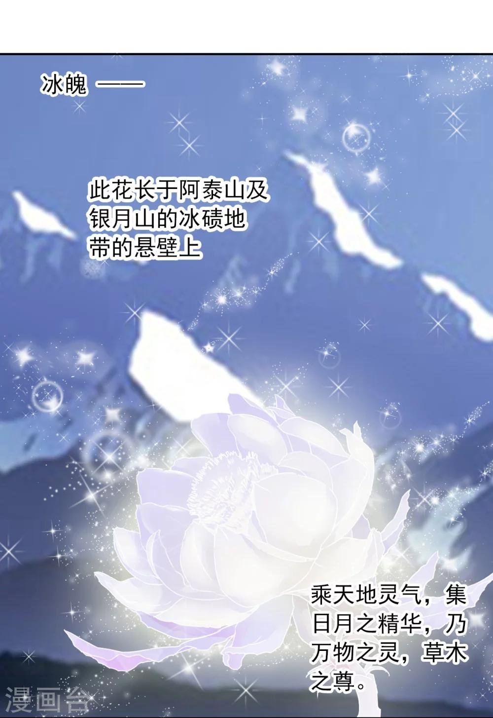 第35话 夜会