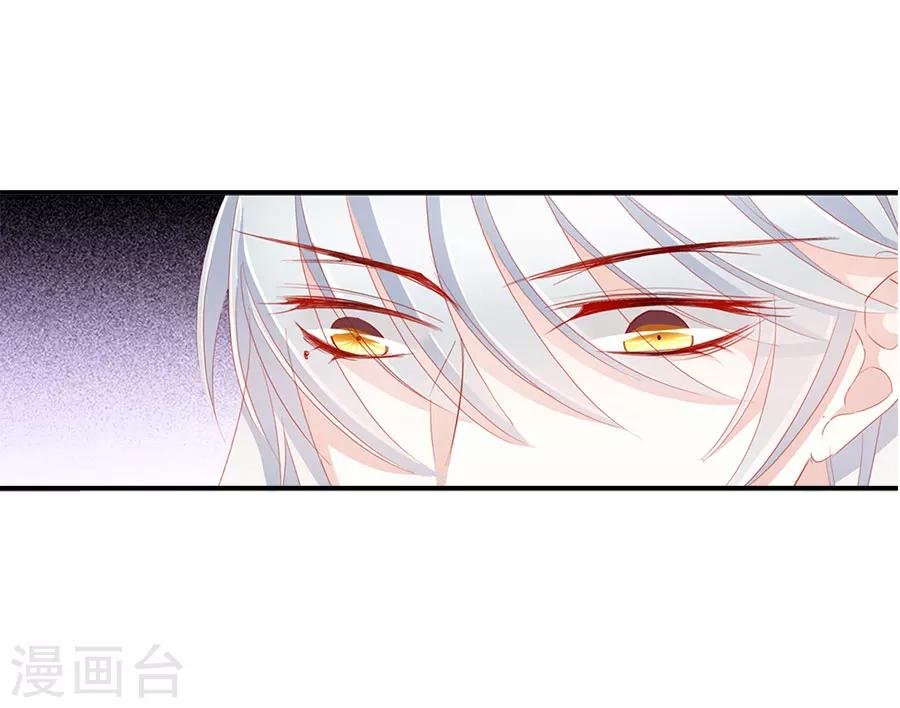第52话 刺客