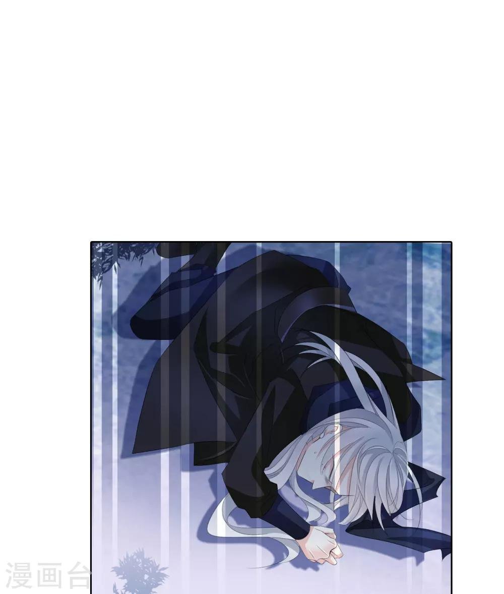 第63话 皇上被掳