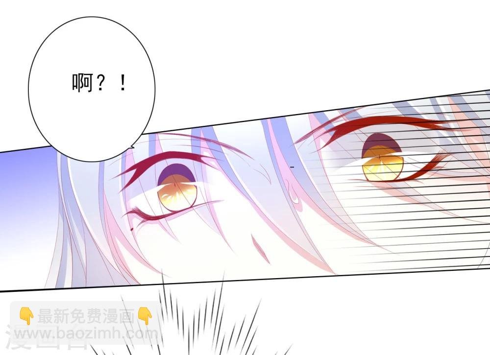 第66话 最好的选择