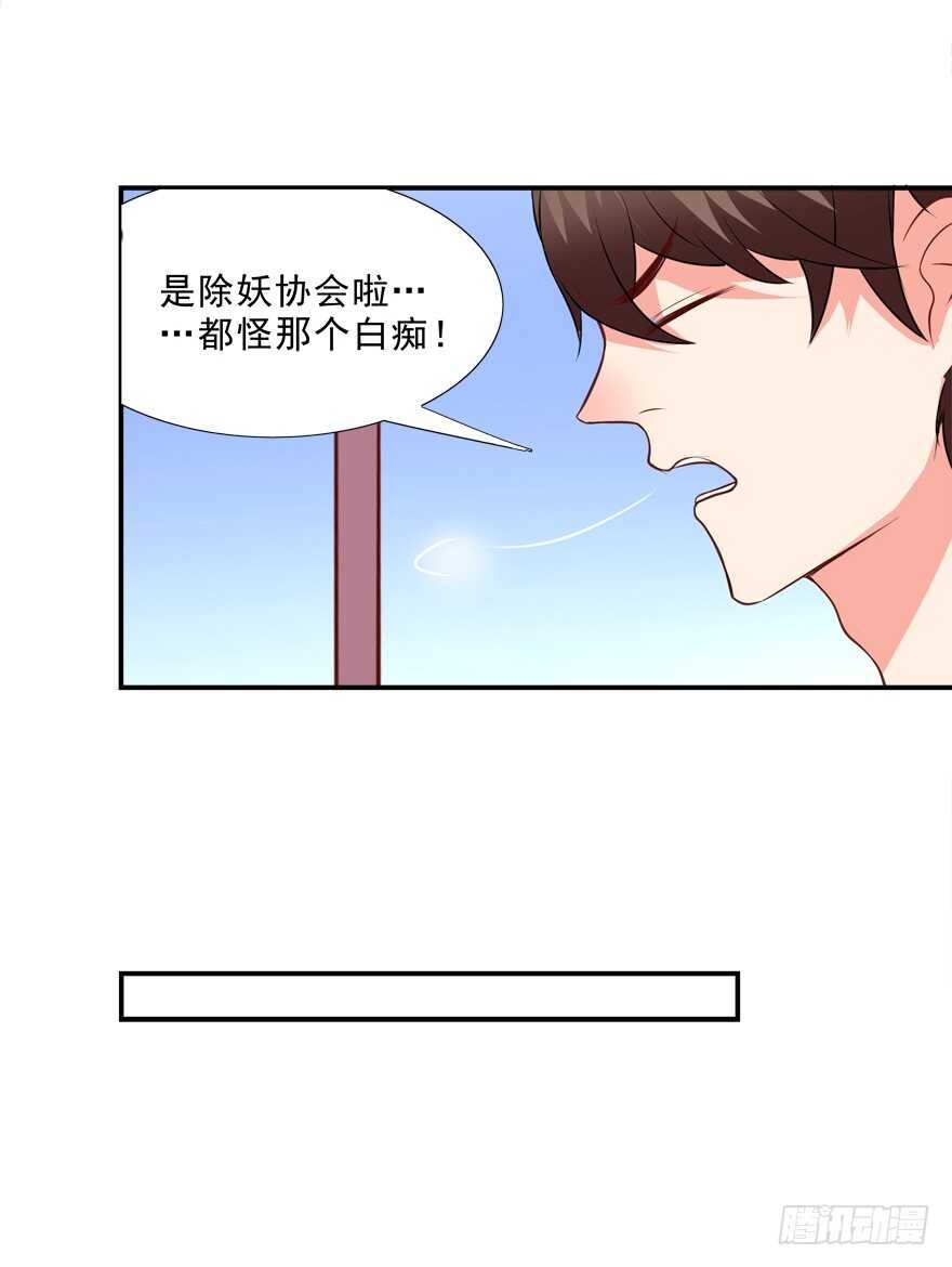 只有服从