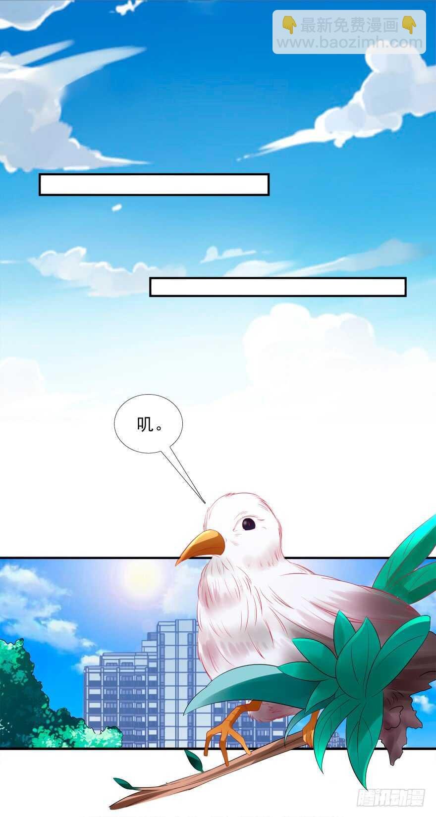 同床共枕