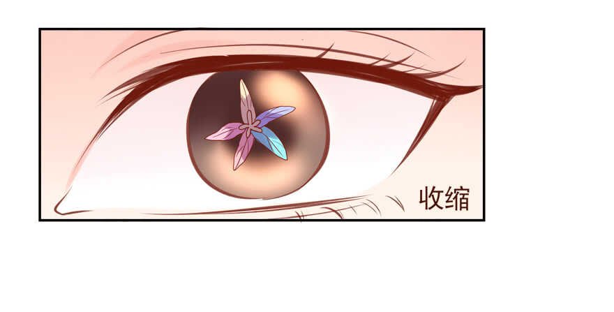 霸总登场（笑）