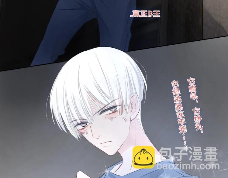 第14话 顺利抓到泄露者