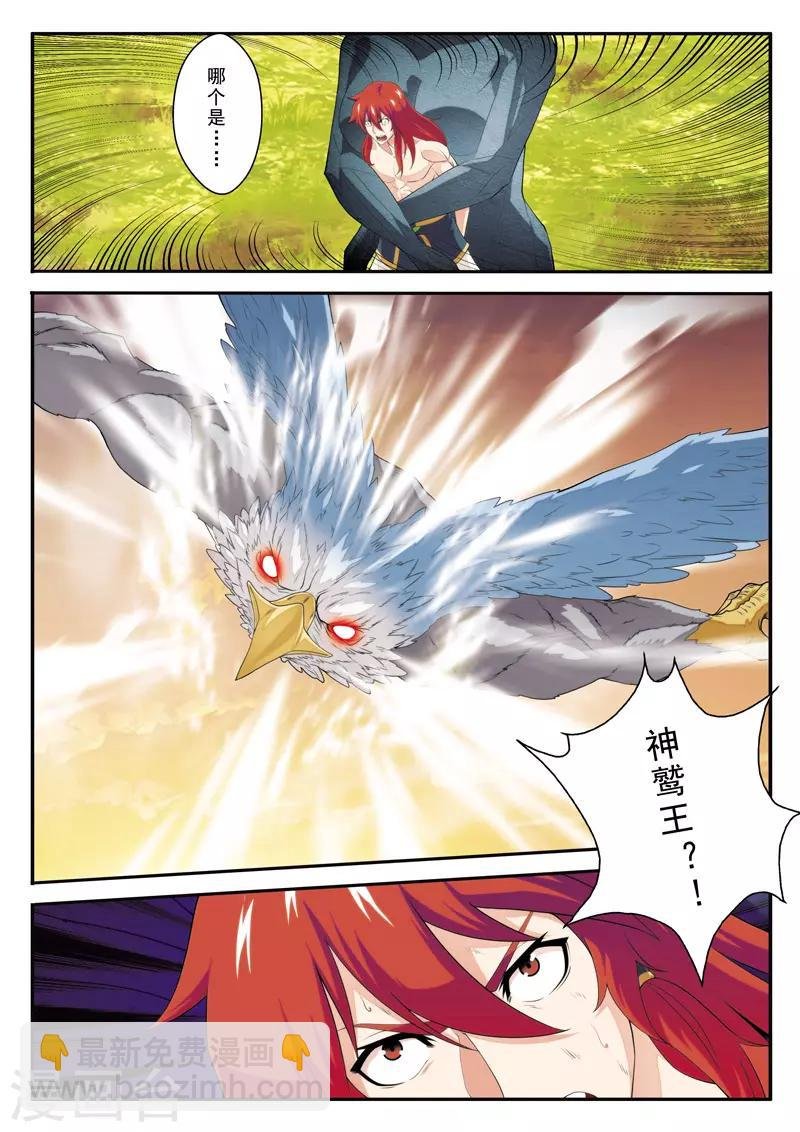 第117话 神鹫王再现