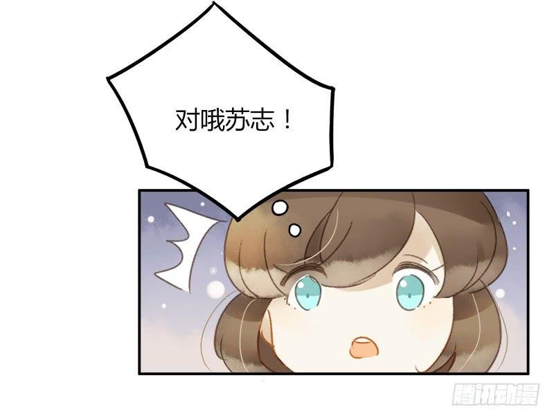 不要理会粉毛（中）