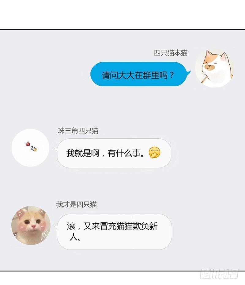 粉丝会长（中）