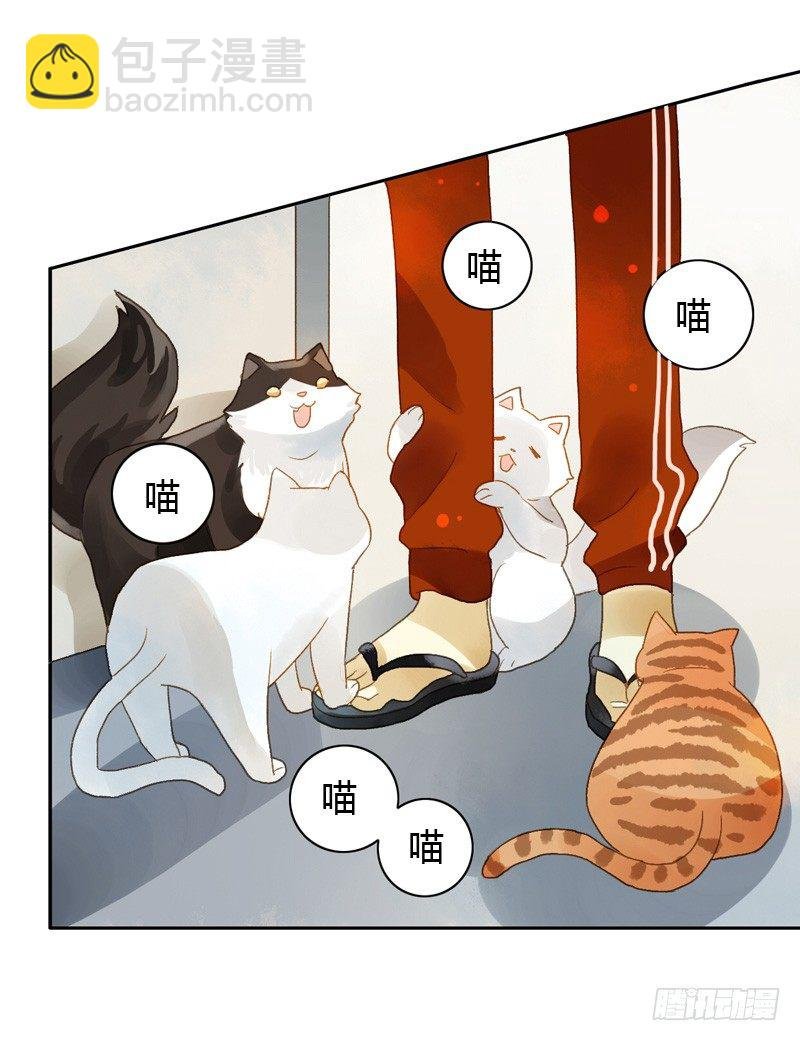 去婚礼前夕（上）