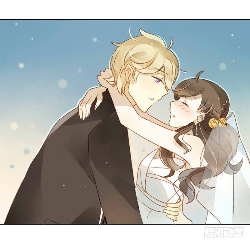 婚礼之后（下）