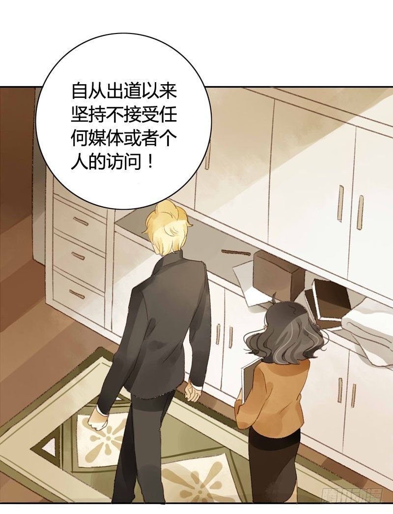 四只猫的真相（上）