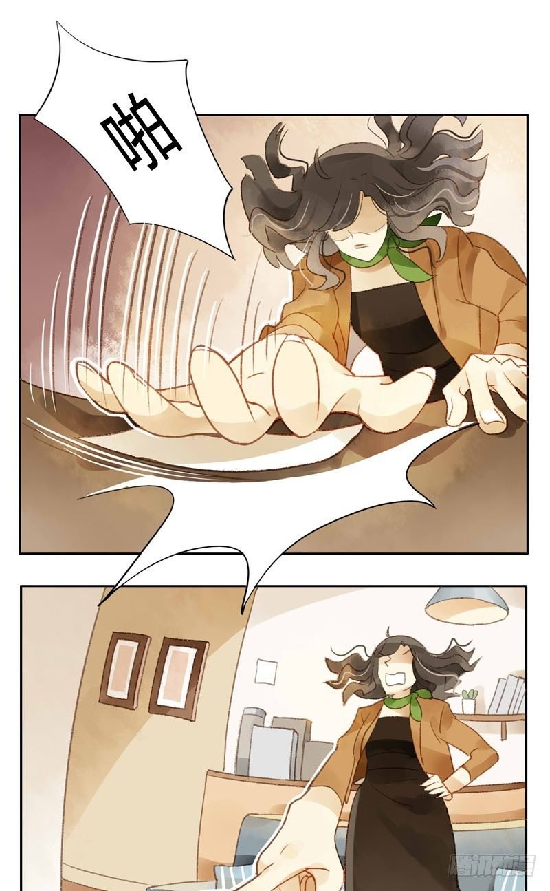 四只猫的真相（上）