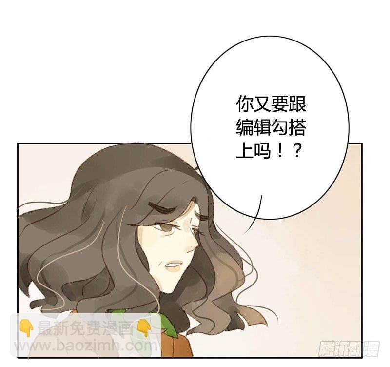 四只猫的真相（上）