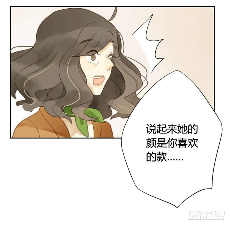 四只猫的真相（上）