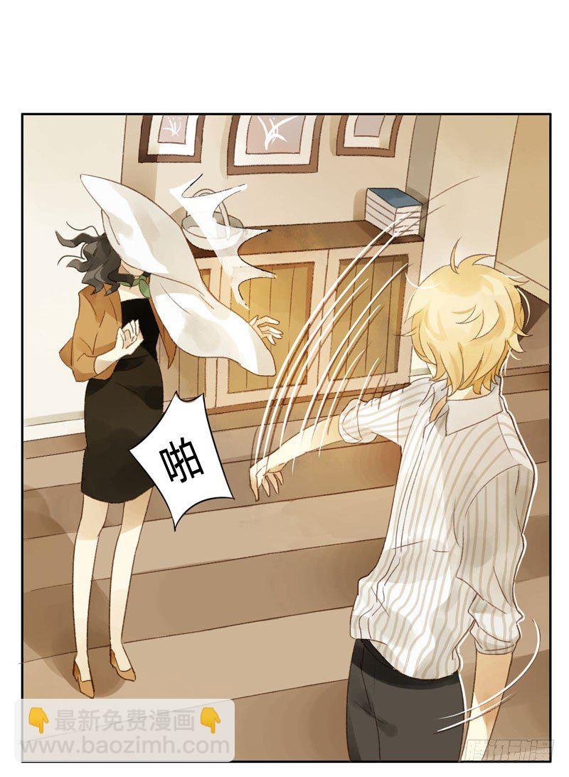 四只猫的真相（上）