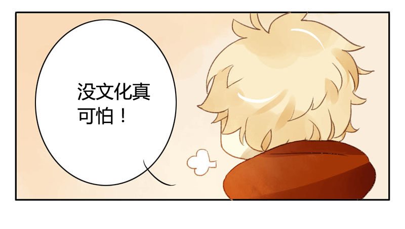 四只猫的真相（上）