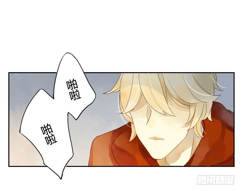 四只猫的真相（上）