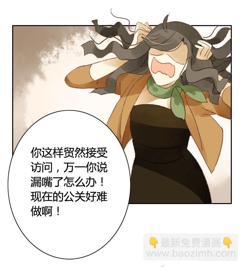 四只猫的真相（上）