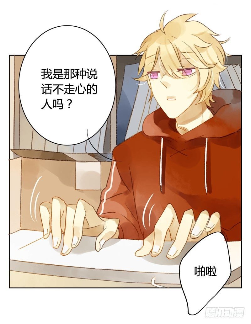四只猫的真相（上）