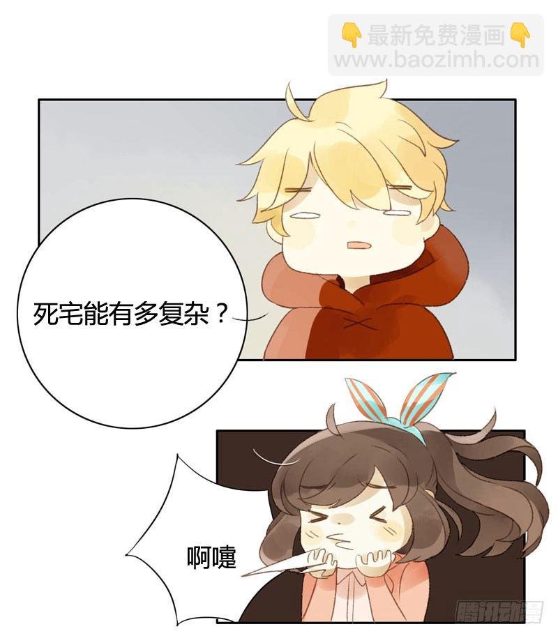 四只猫的真相（上）