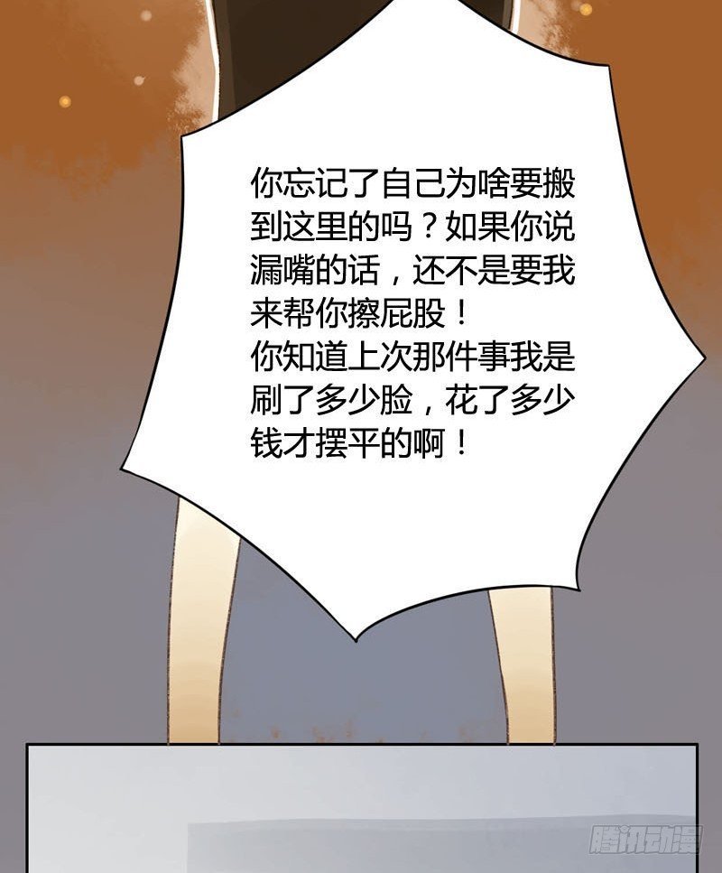 四只猫的真相（上）