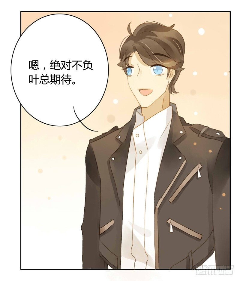 直播前夕（下）