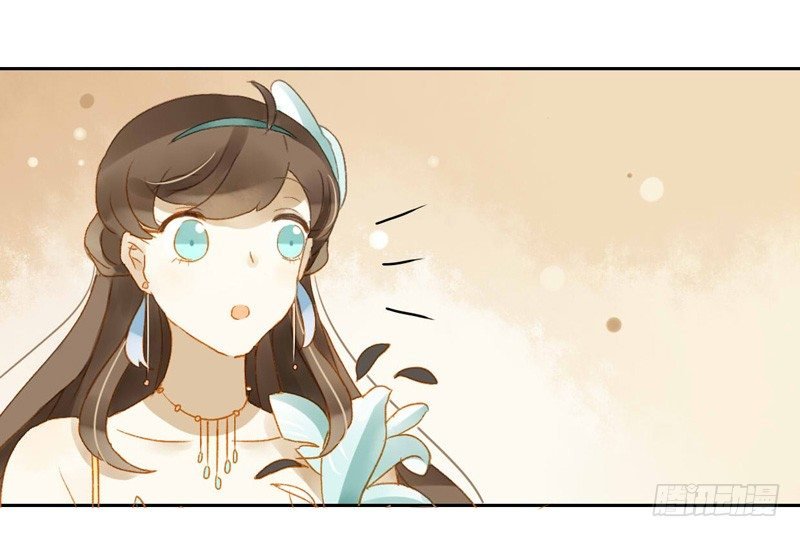 直播（下）