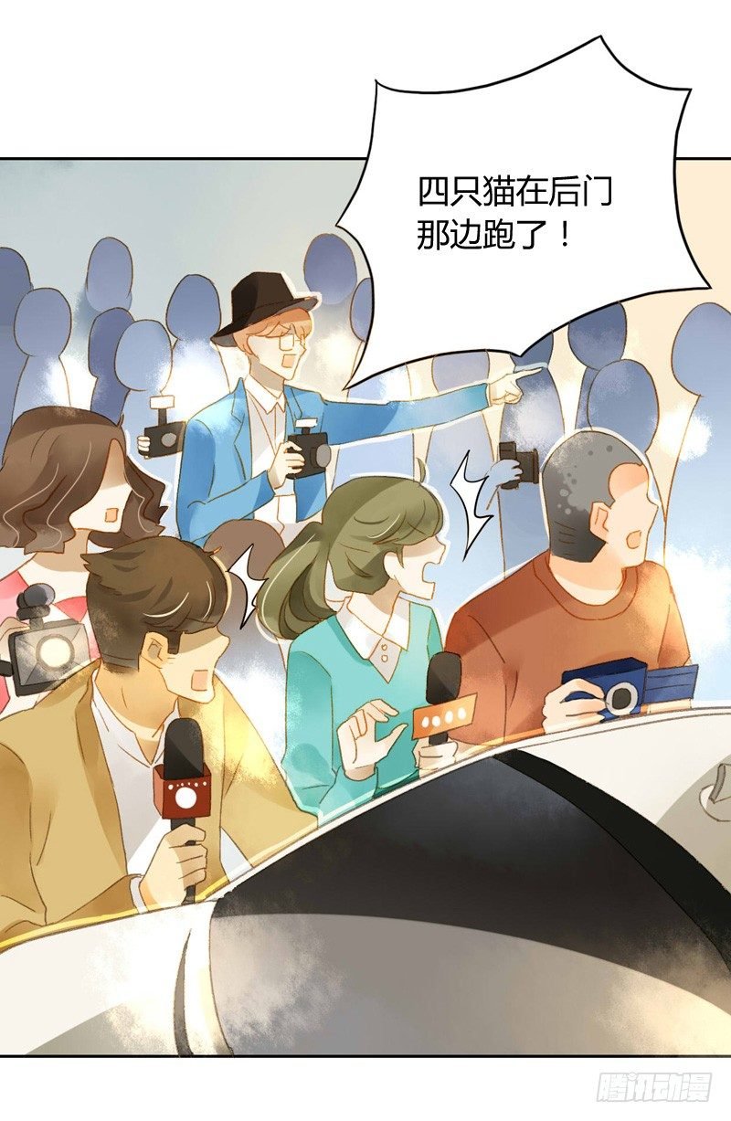 声东击西（上）