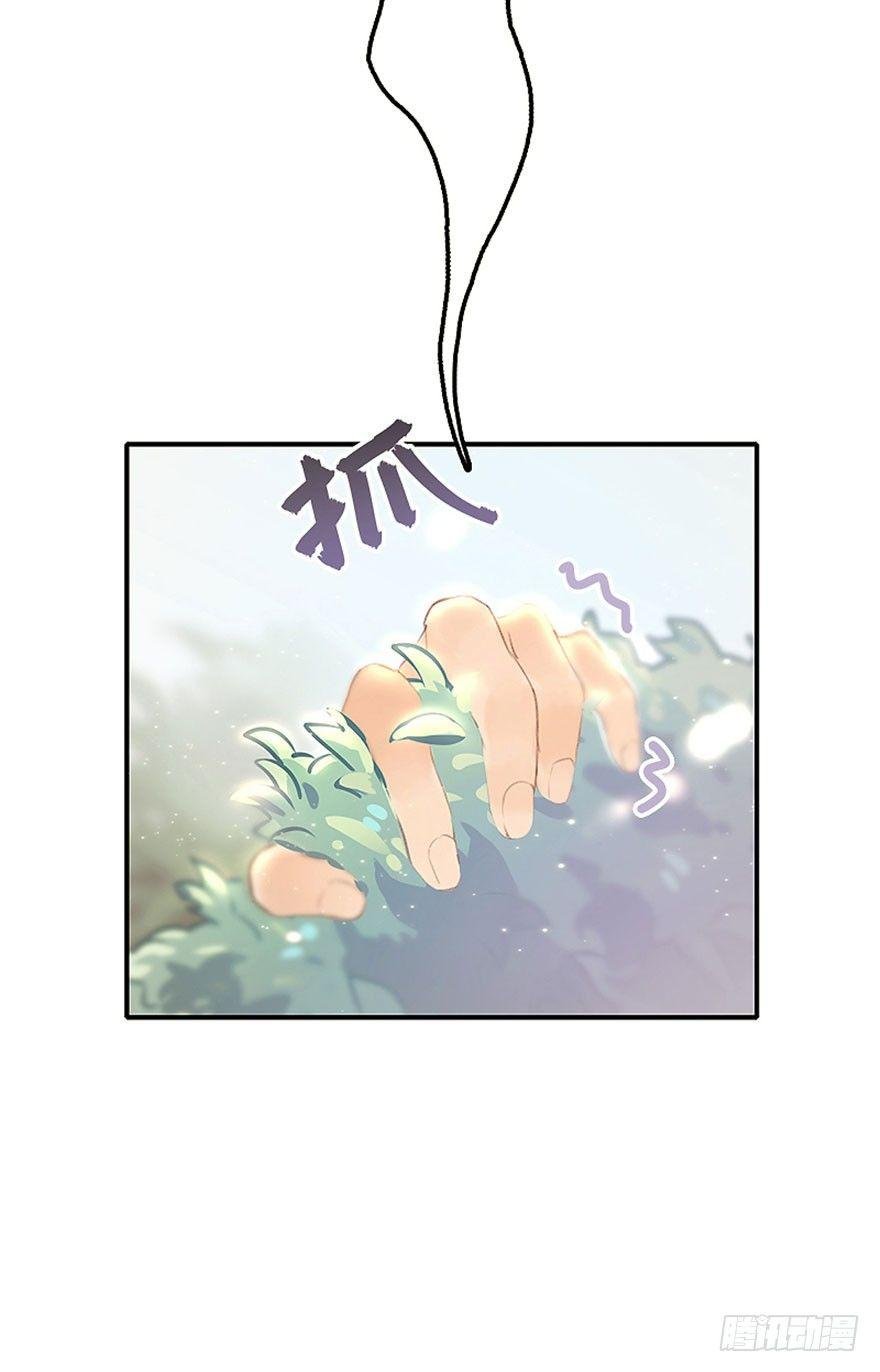 预告