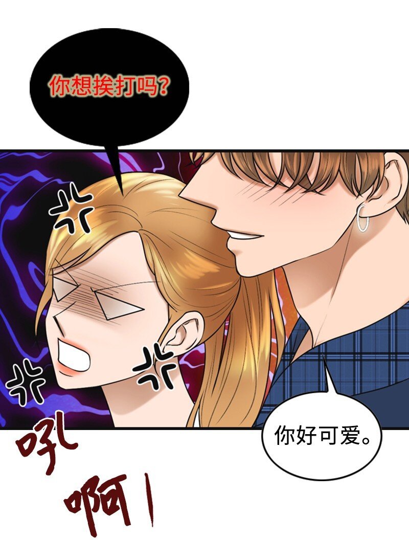81 上结婚综艺