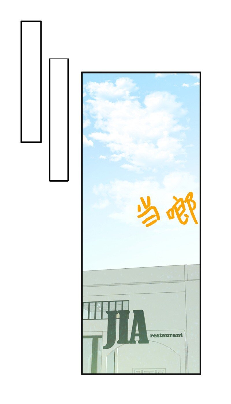81 上结婚综艺