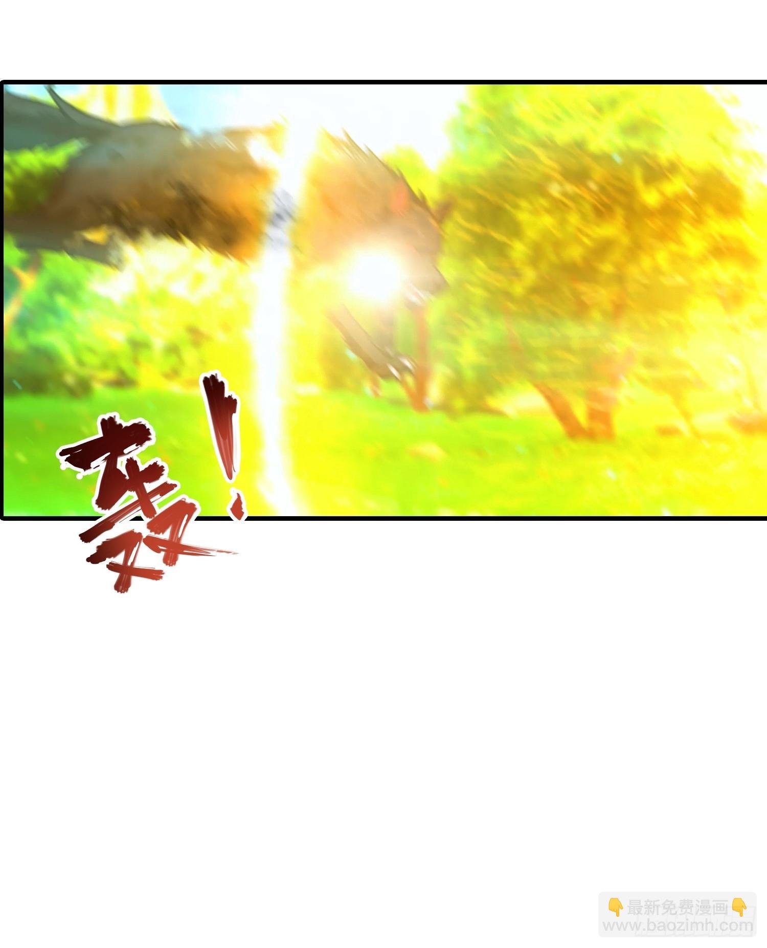 第4话 召唤新异兽——龙龟