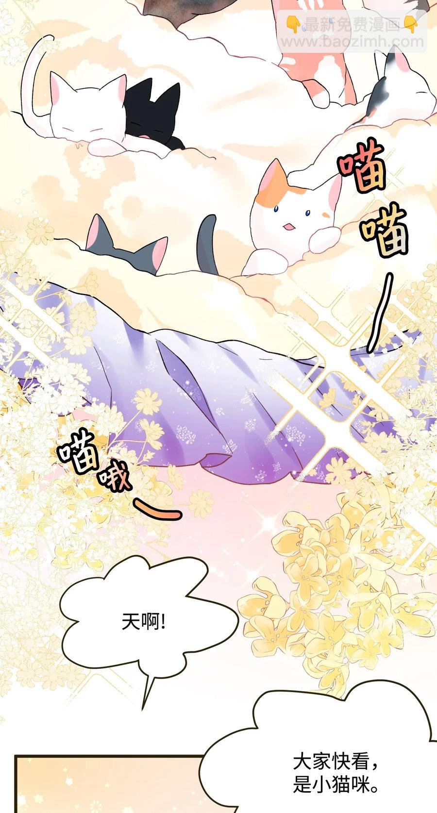 17 有话要说